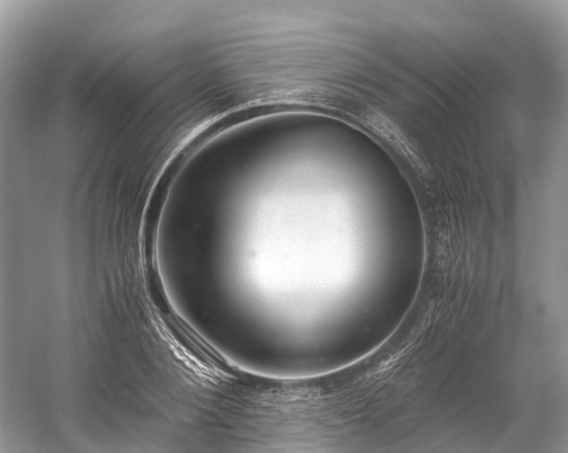 X0000059850884200510241501
