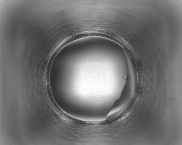 X0000059850885200510241501