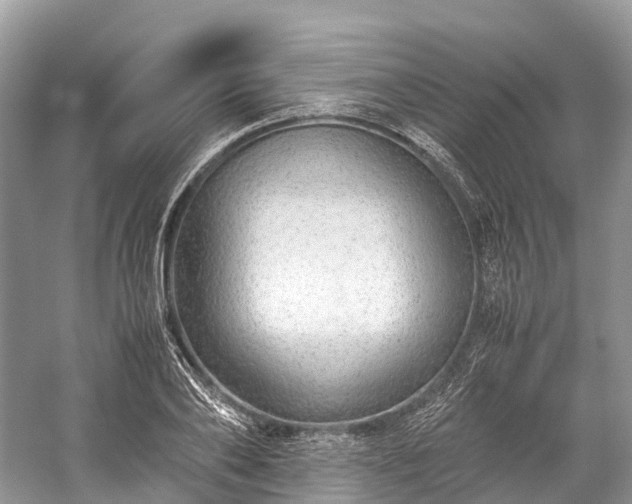 X0000059850886200510241501