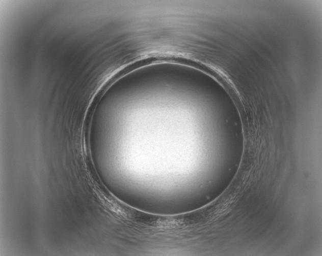 X0000059850887200510241501