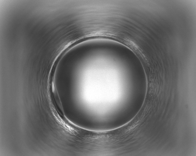 X0000059850892200510241501