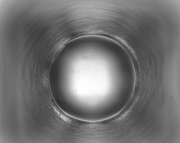 X0000059850897200510241501