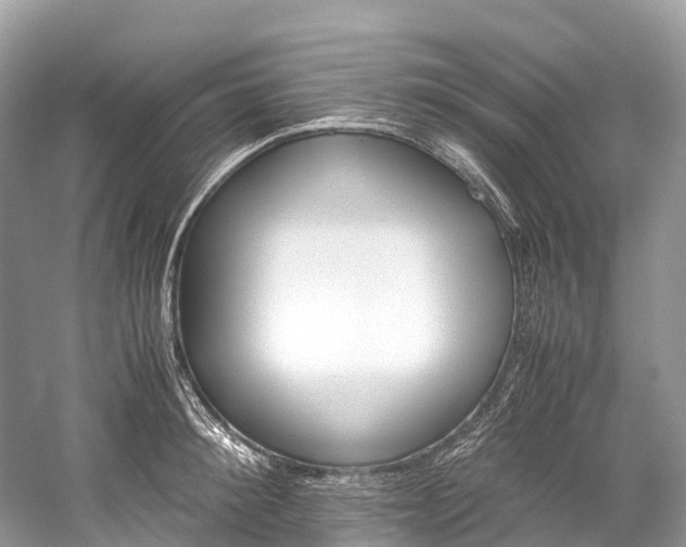 X0000059850900200510241501