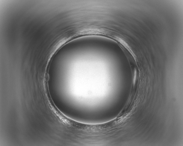 X0000059850901200510241501