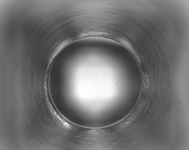 X0000059850906200510241501