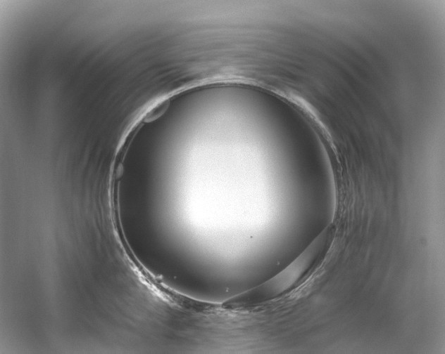 X0000059850910200510241500