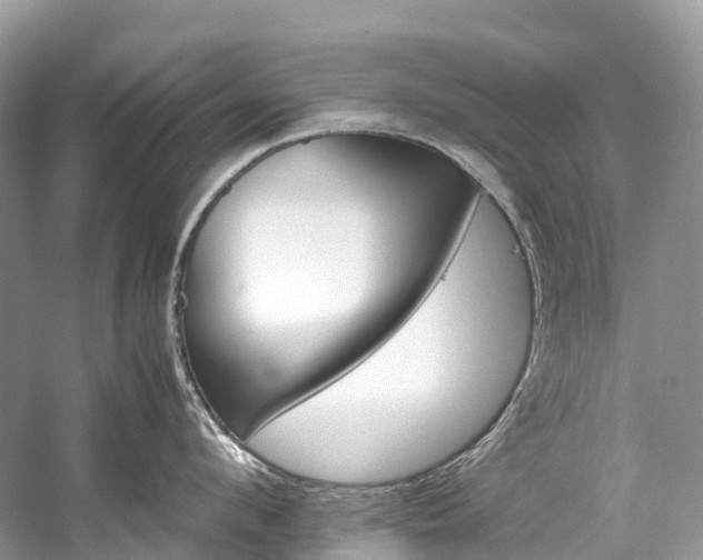 X0000059850912200510241500