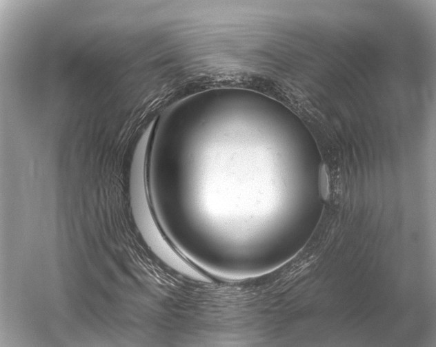 X0000059850916200510241500