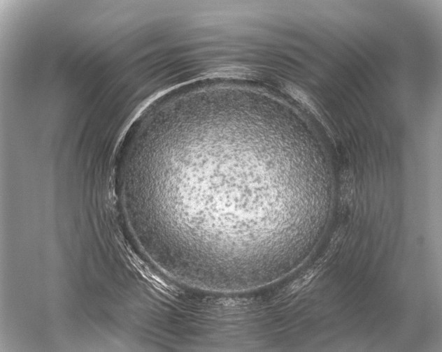 X0000059850923200510241500