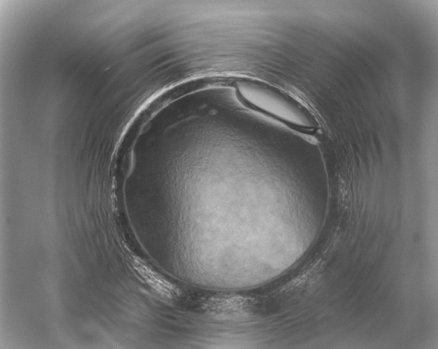 X0000059850926200510241500