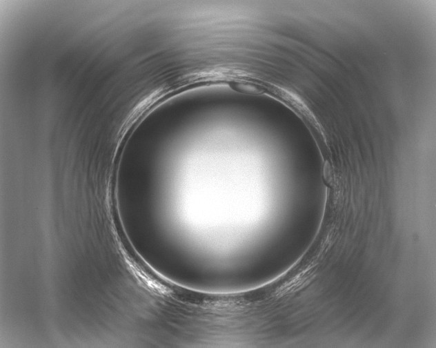 X0000059850946200510241500