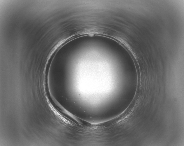 X0000059850949200510241500