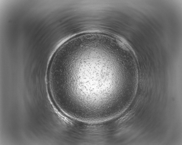 X0000059850951200510241500