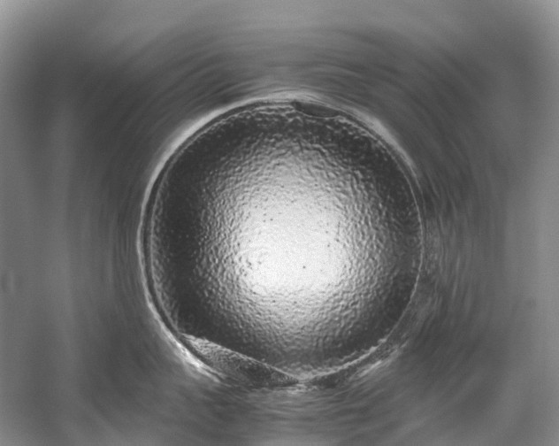 X0000059850959200510241500