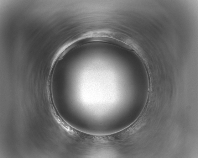 X0000059850960200510241500