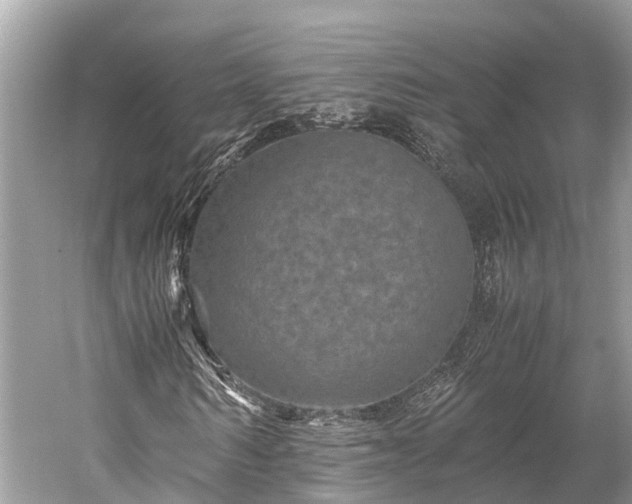 X0000059850962200510241500