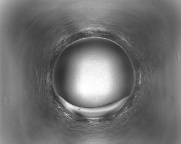 X0000059850965200510241500