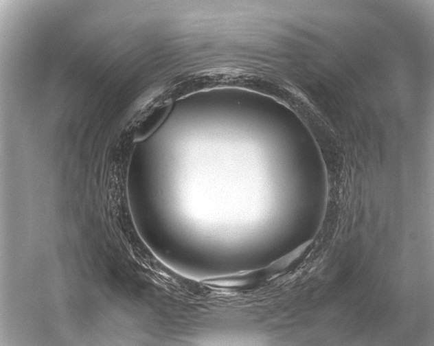 X0000059850967200510241500