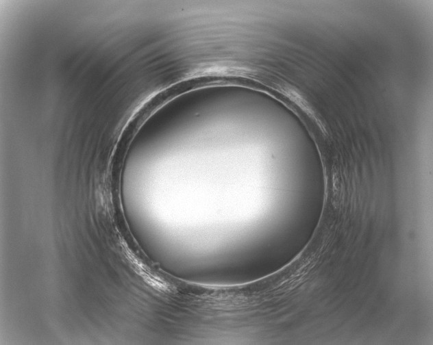 X0000059850972200510241459