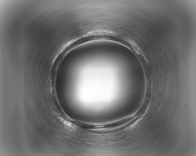 X0000059850973200510241459