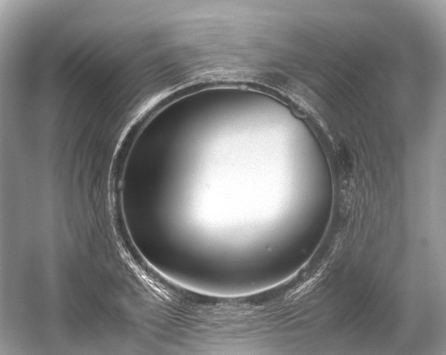 X0000059850981200510241459