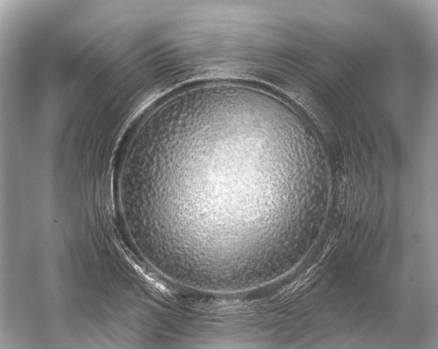 X0000059850982200510241459