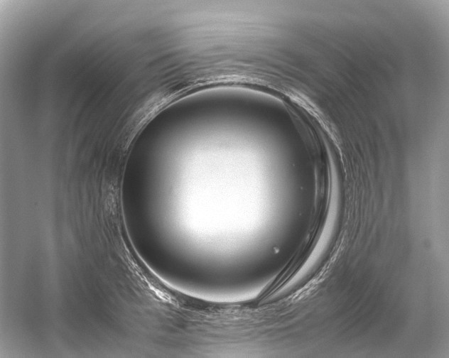 X0000059850993200510241459