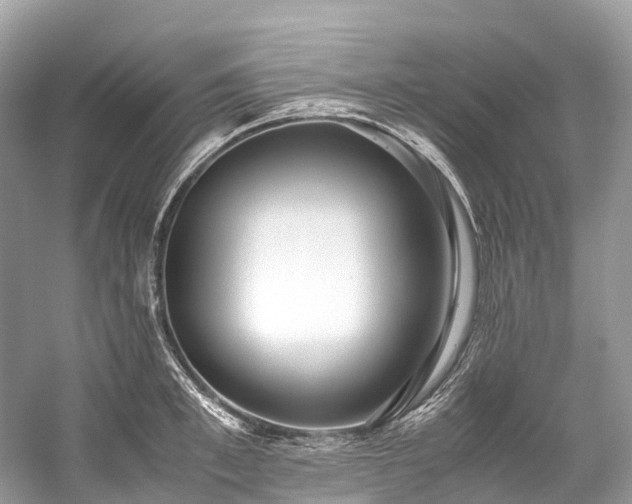 X0000059850997200510241459