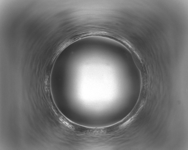 X0000059851001200510241459