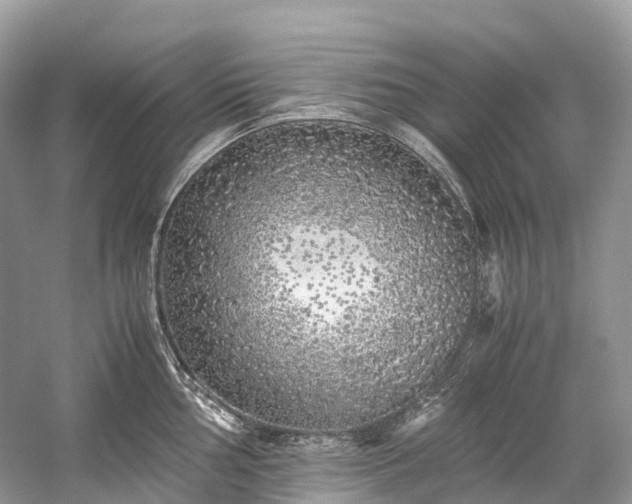 X0000059851002200510241459