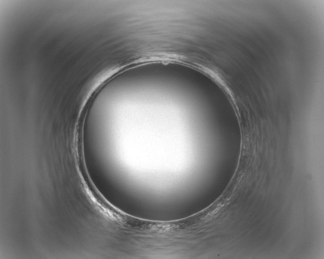X0000059851003200510241459