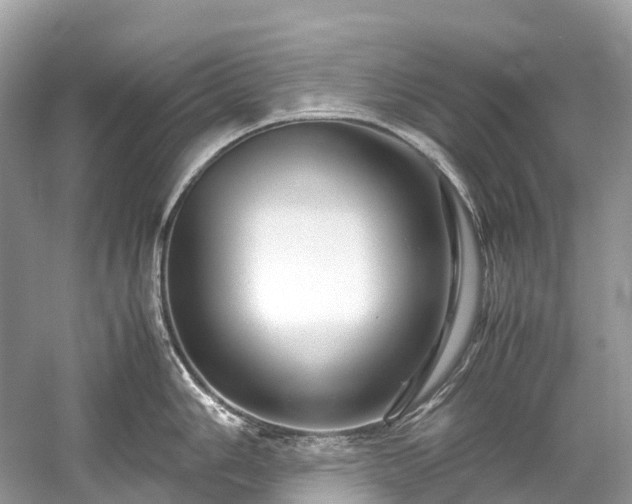 X0000059851006200510241459