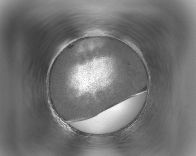 X0000059851008200510241459