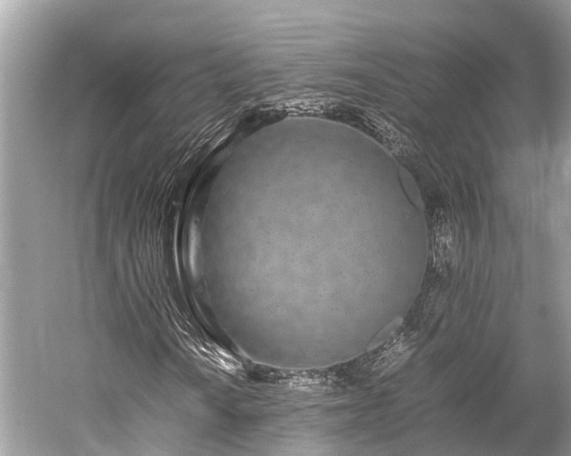 X0000059851010200510241458