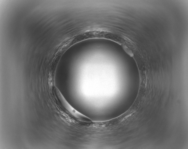 X0000059851014200510241458