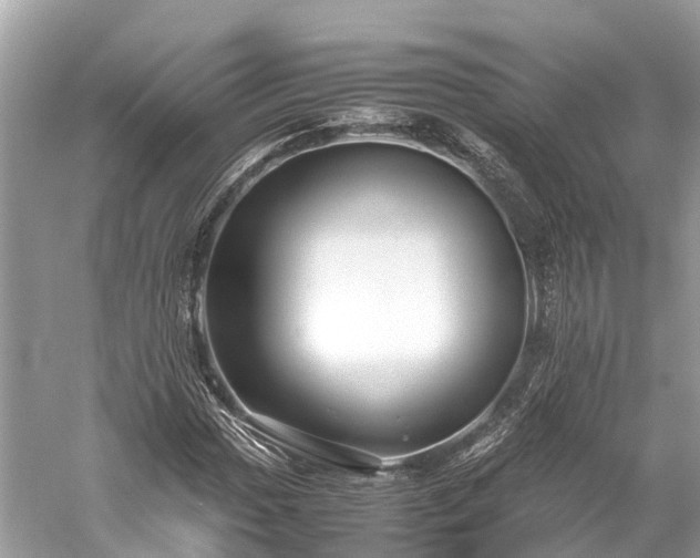 X0000059851017200510241458