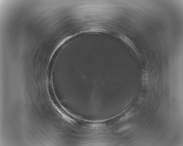 X0000059851024200510241458