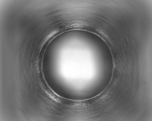 X0000059851026200510241458