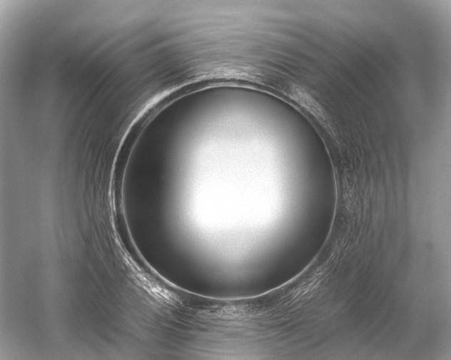 X0000059851028200510241458