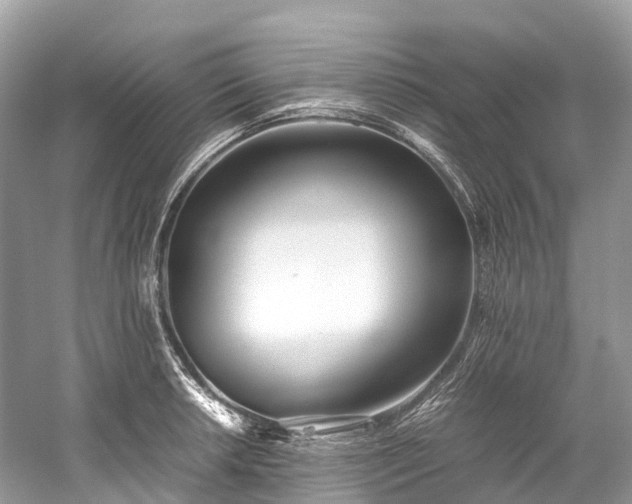 X0000059851042200510241459