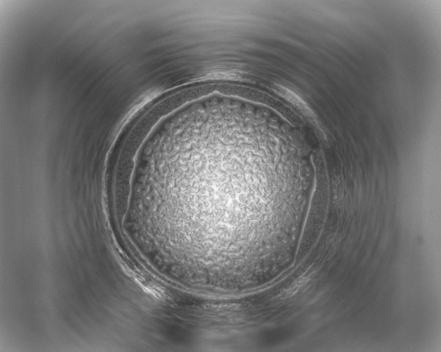 X0000059851043200510241459