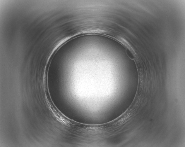 X0000059851044200510241459