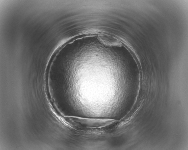 X0000059851045200510241459
