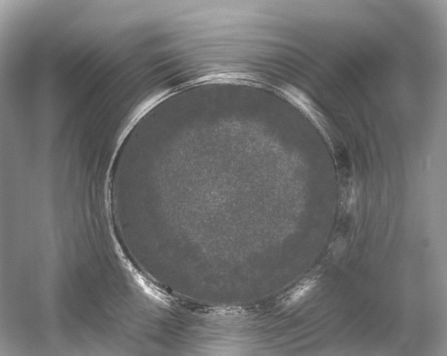 X0000059851050200510241459