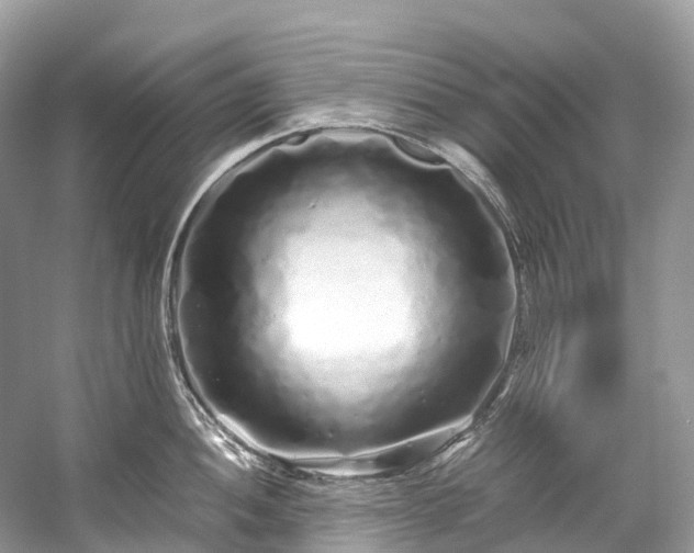 X0000059851052200510241459