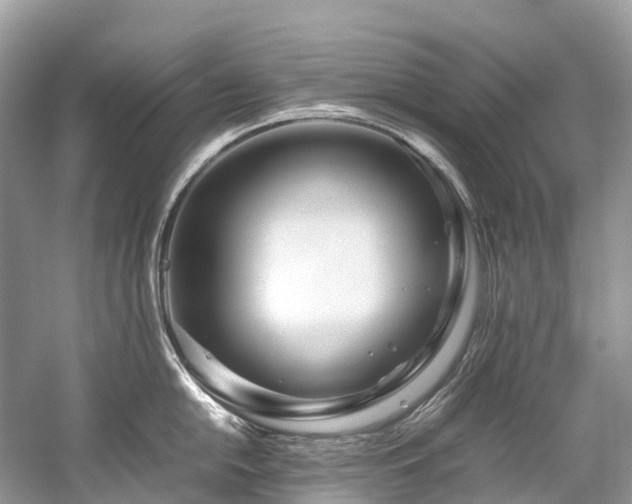X0000059851054200510241459