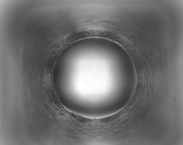 X0000059851061200510241458