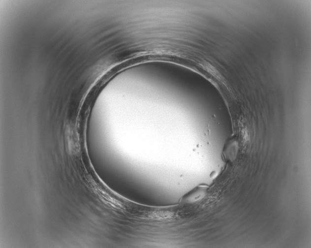 X0000059851068200510241458