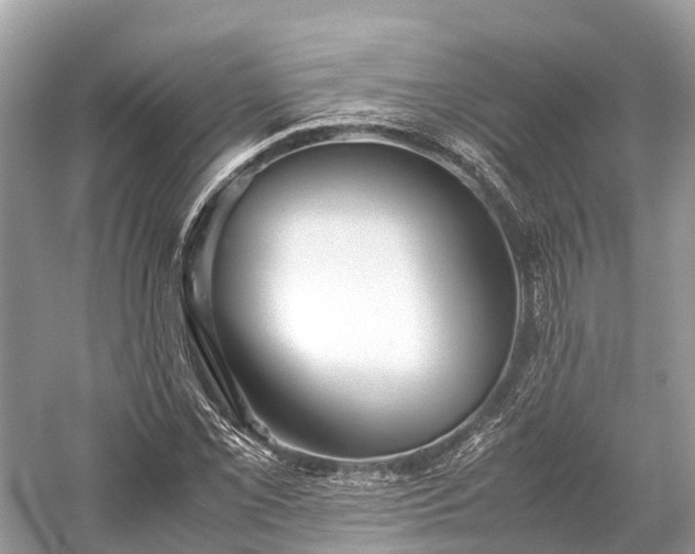 X0000059851069200510241458