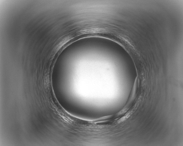 X0000059851073200510241458
